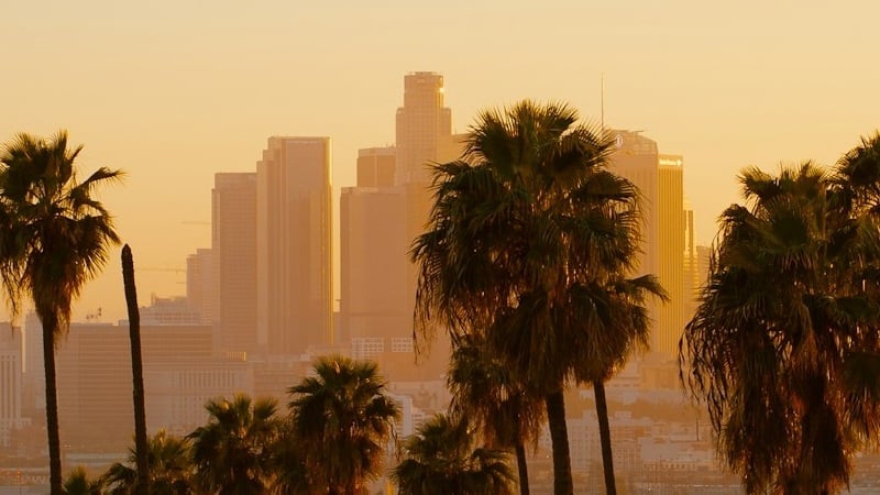 palm-trees-with-the-los-angeles-city-skyline-in the-background