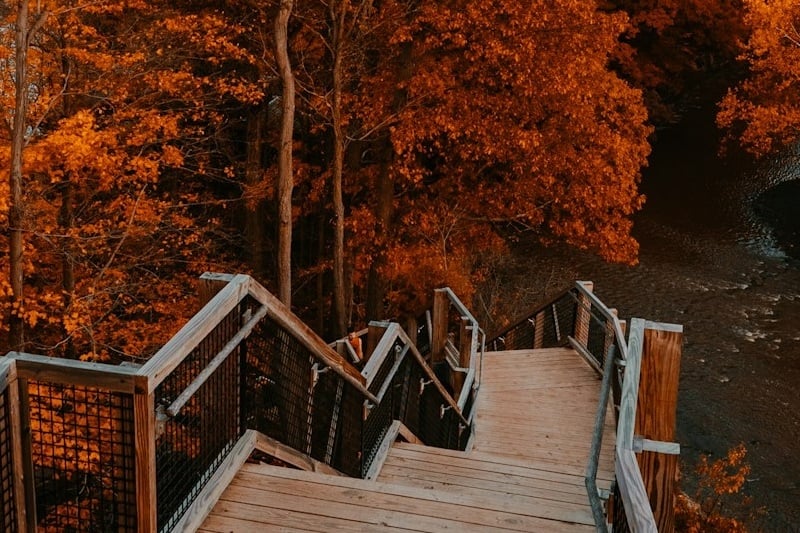 trees-with-orange-colored-leaves-in-the-autumn-in-cleveland-ohio-united-states