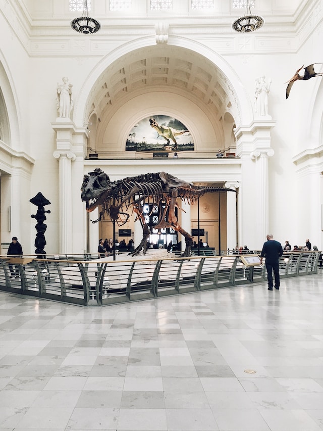 chicago field museum near ELS Chicago in river forest, illinois
