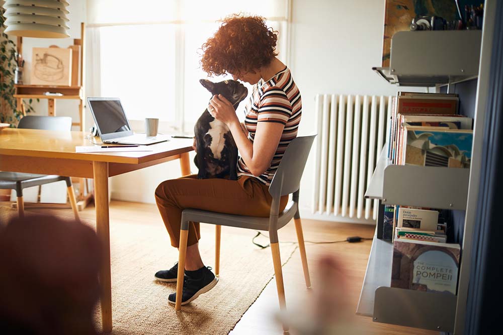 Homestay_Girl_Petting_Dog