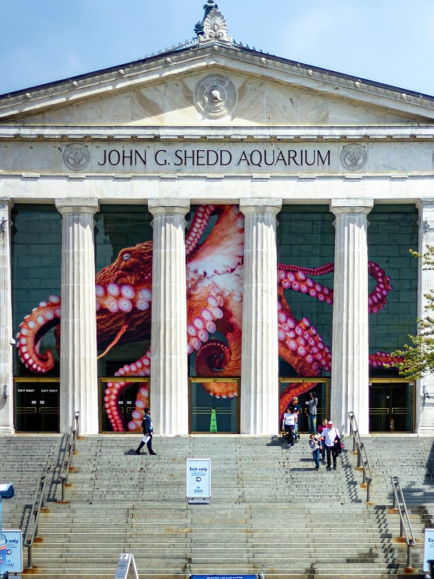 The Shedd Aquarium in Chicago, Illinois, USA near ELS Language Centers.