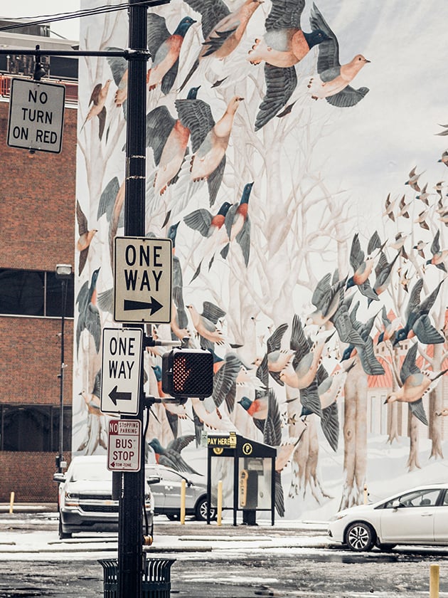 Sight-seers can go on street art tours in Cincinnati, Ohio, USA near ELS Language Centers. 