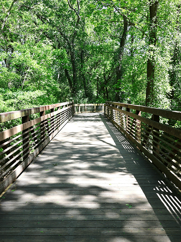 A wooden bridge surrounded by trees along the trails of Shelly Bottoms Greenway in Nashville, Tennessee, USA near ELS Language Centers. 