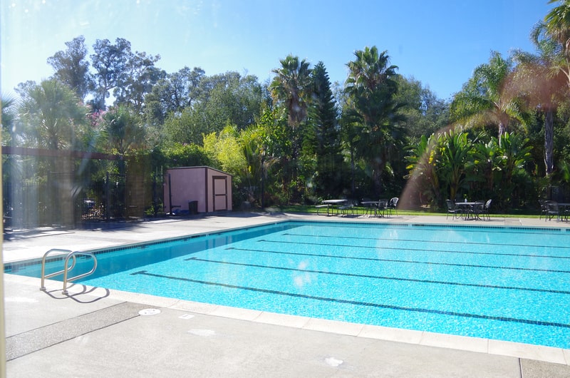 outside-swimming-pool-dominican-university-of-california